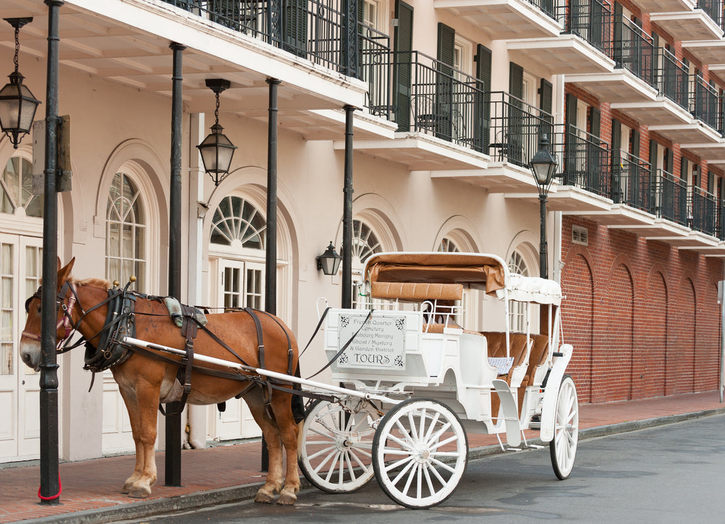 Elegant horse-drawn carriage in French Quarter, New Orleans, Louisiana