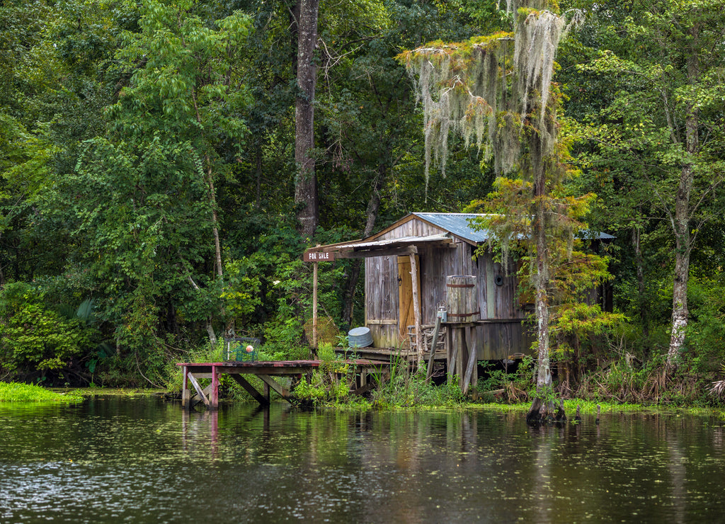 Old house in a swamp in New Orleans, Louisiana