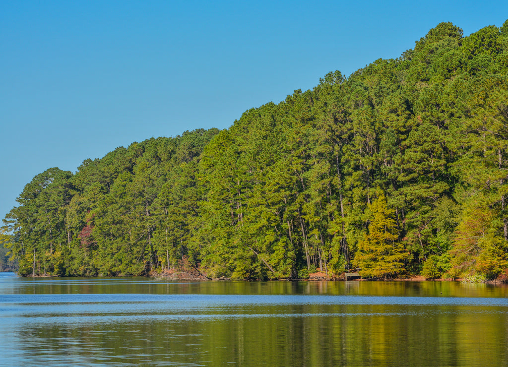 Beautiful view of Lake Claiborne State Park, in Homer, Claiborne Parish, Louisiana