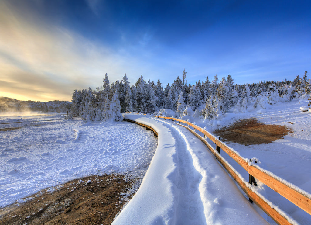 Yellowstone National Park, Wyoming