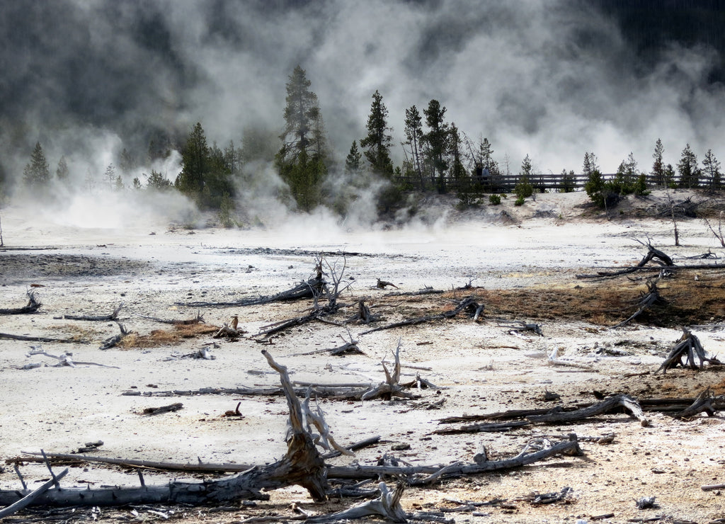 Yellowstone National Park, Wyoming, United States