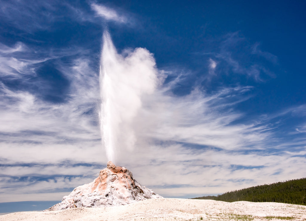 Yellowstone's White Dome Geyser, Wyoming