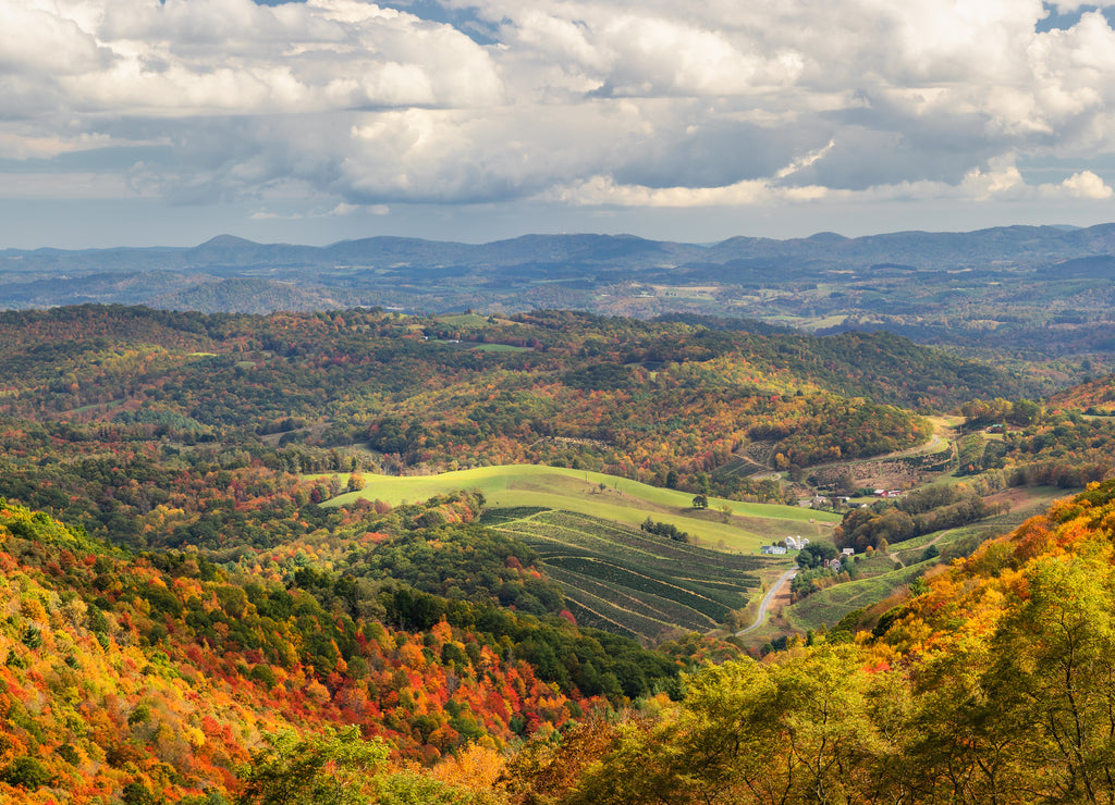 Autumn at Grayson Highlands State Park Virginia