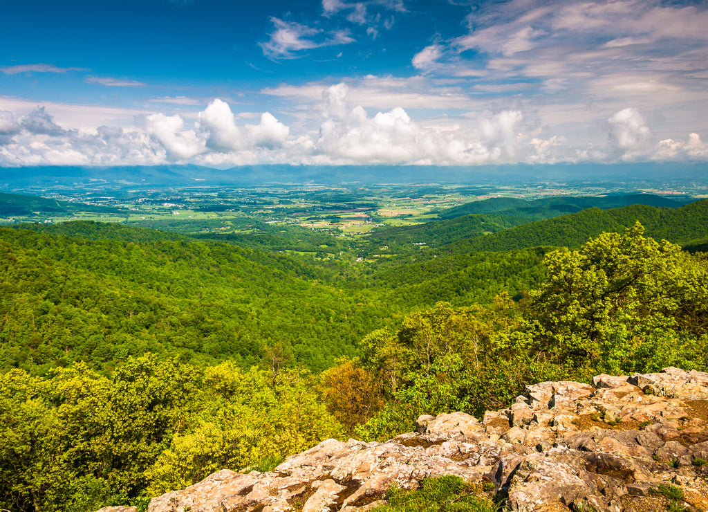 View of the Shenandoah Valley from Franklin Cliffs Overlook, Virginia