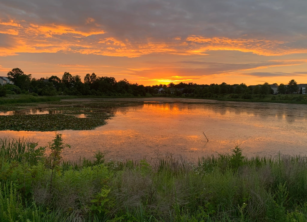 Sunsetting over the pond in Loudoun County, Virginia