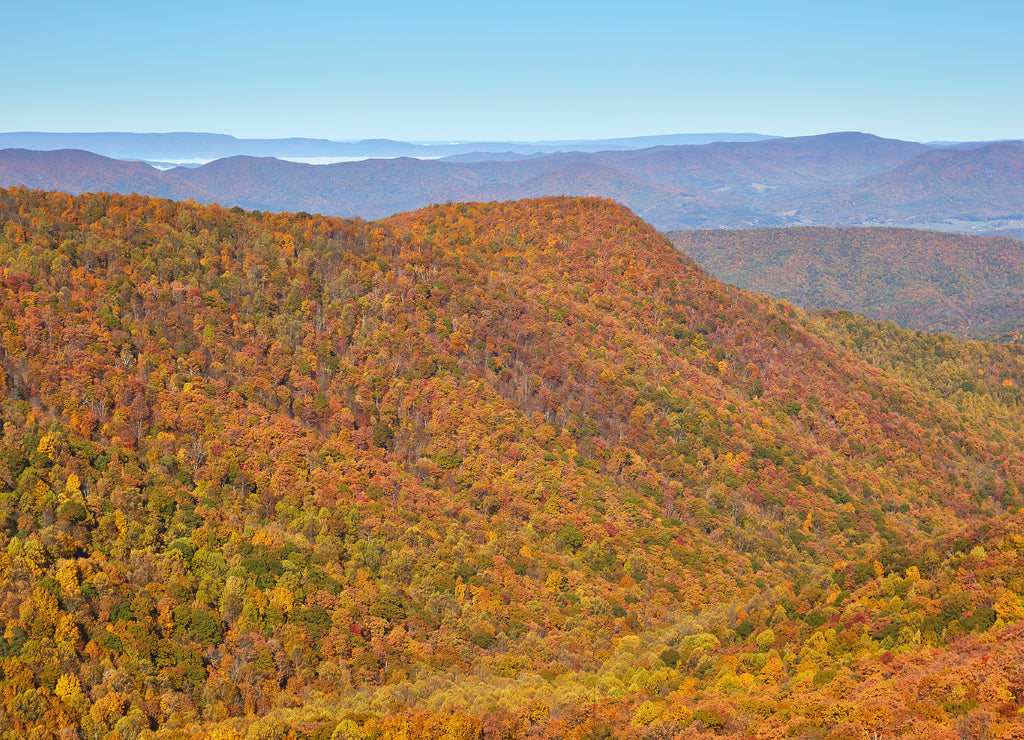 View of autumn colors and mountains from an overlook along the Appalachian Trail near Buchanan, Virginia