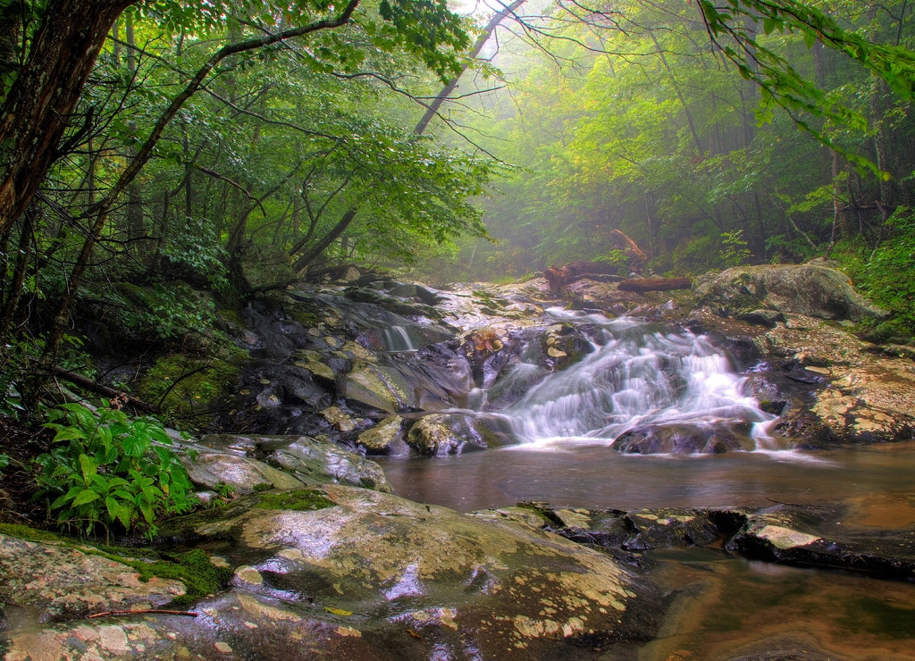 Waterfalls in white oak canyon in Shenandoah national park near Front Royal, Virginia on a rainy spring day