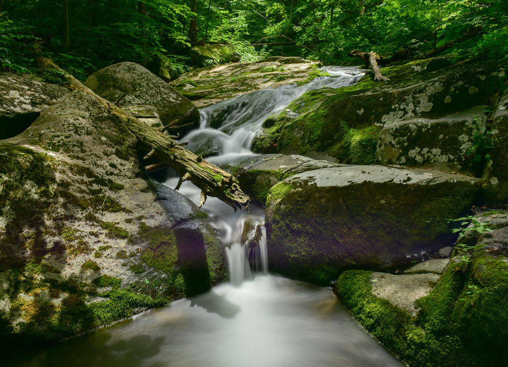 Shenandoah National Park - Virginia