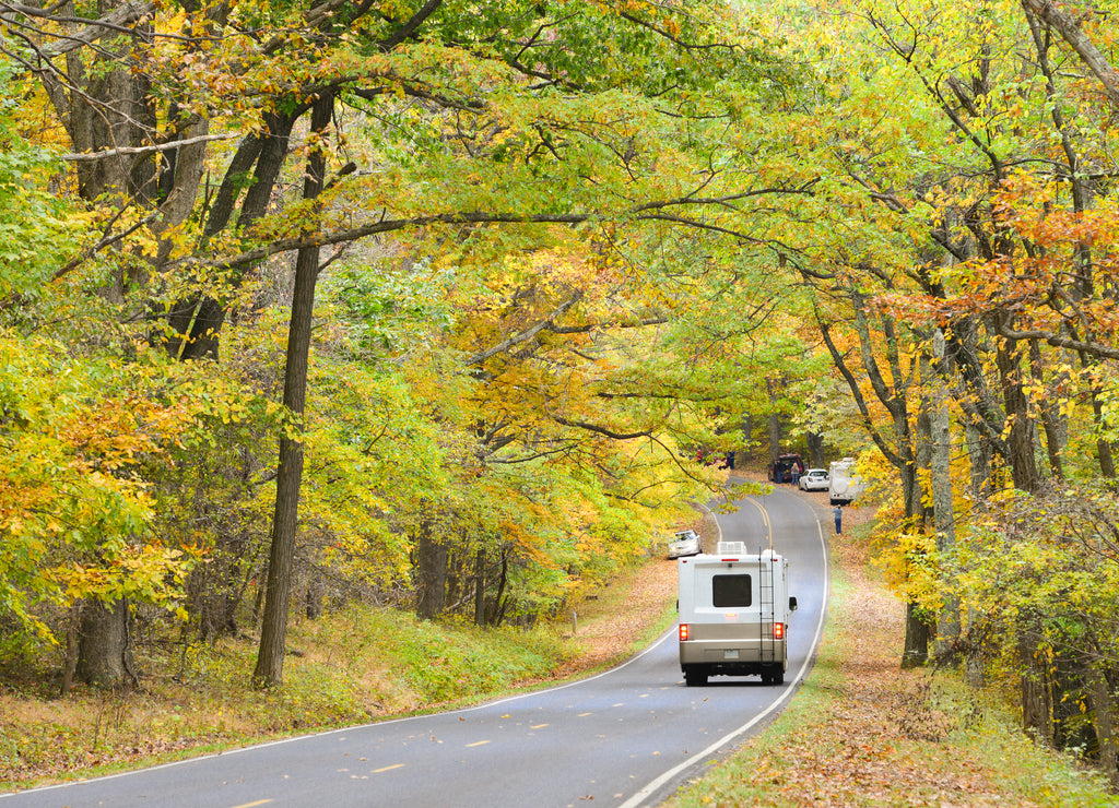 A RV goes into the forest during autumn - Shenandoah National Park, Virginia, United States of America