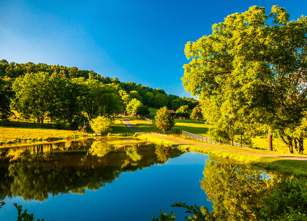 Pond and driveway to a farm in the Shenandoah Valley, Virginia