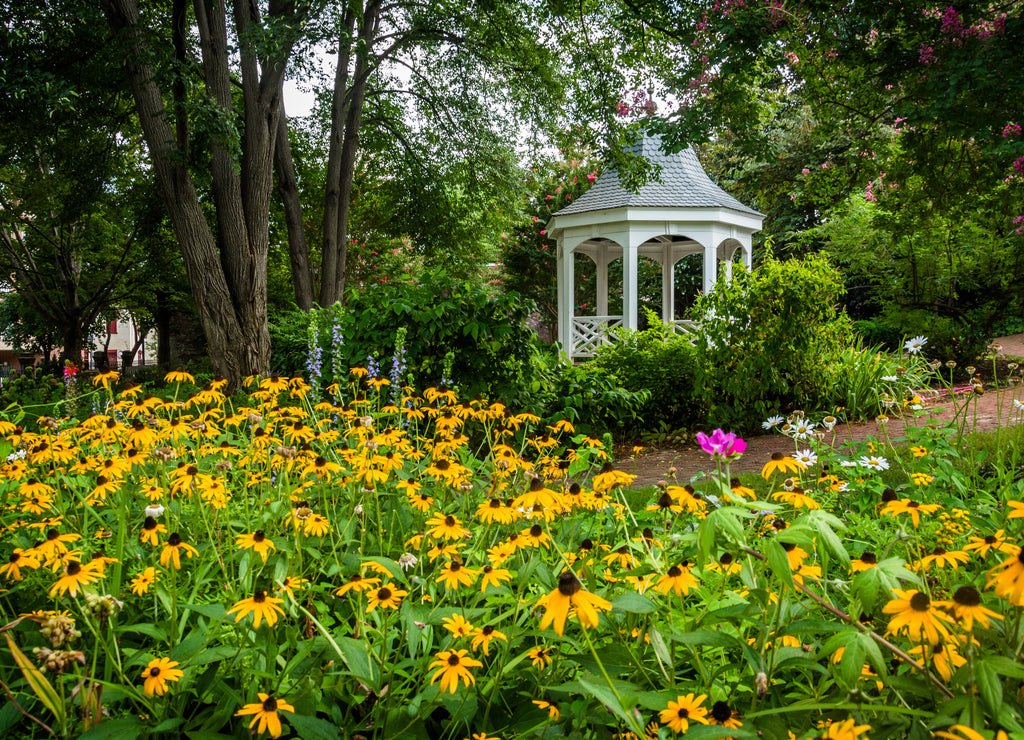 Colorful garden and gazebo in a park in Alexandria, Virginia