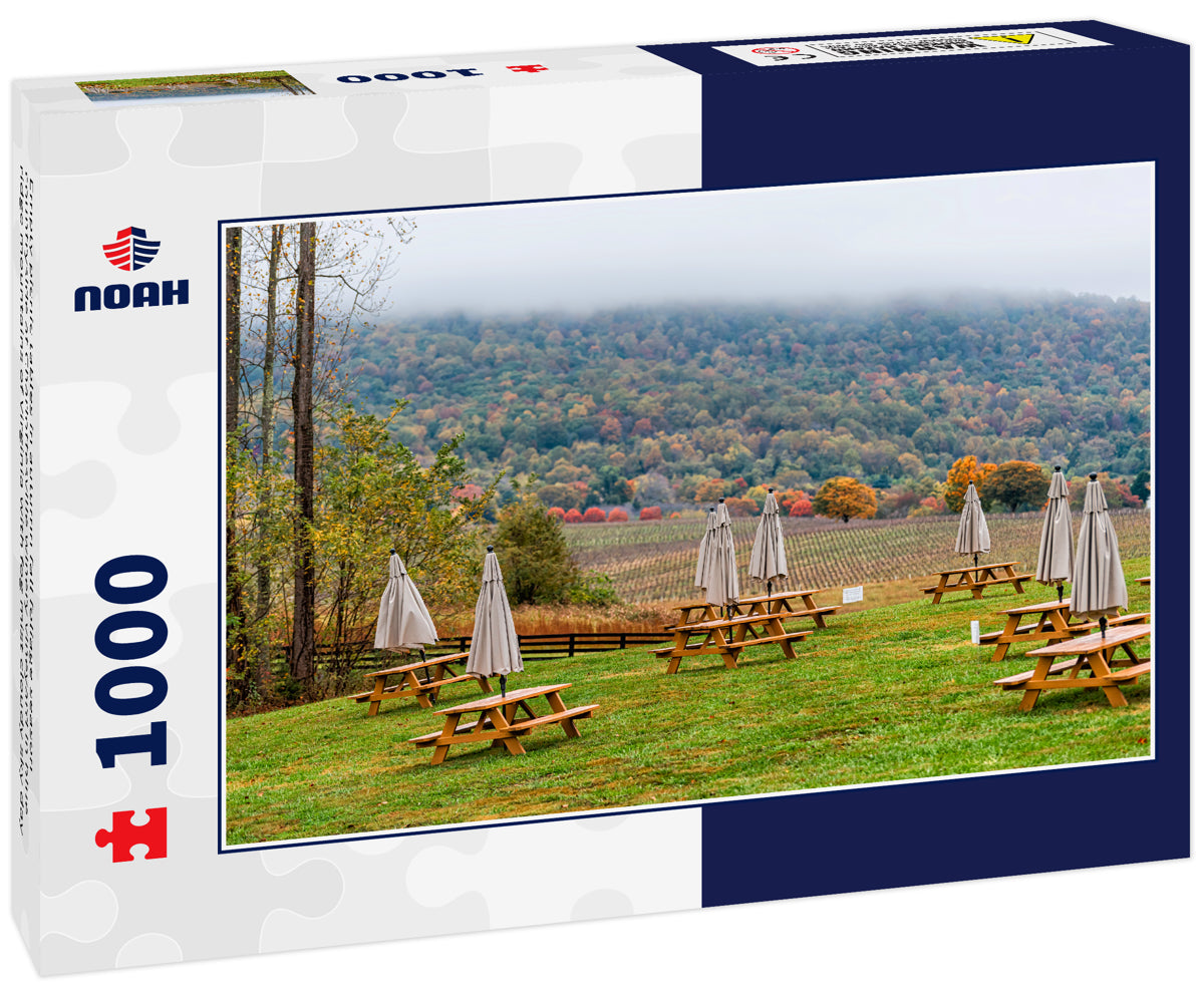 Empty picnic tables in autumn fall foliage season countryside at Charlottesville winery vineyard in blue ridge mountains of Virginia with fog mist cloudy sky day 