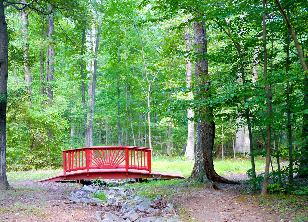 Red Wooden Bridge in Bull Run Regional Park, Centreville, Virginia