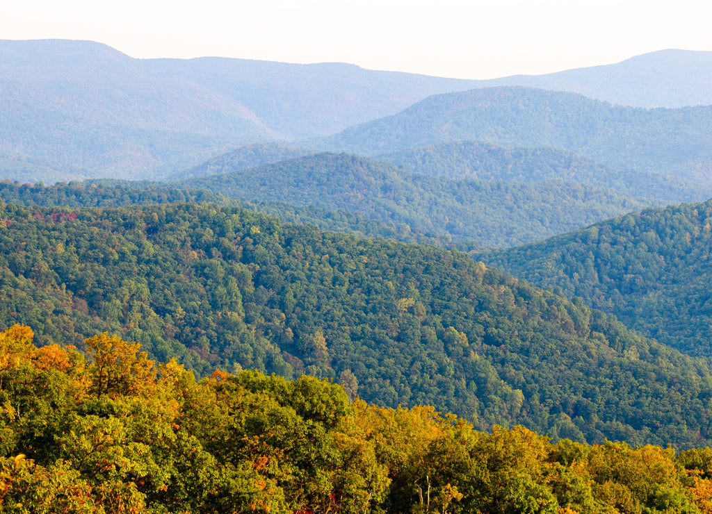 Autumn Colors at Blue Ridge Mountains Virginia