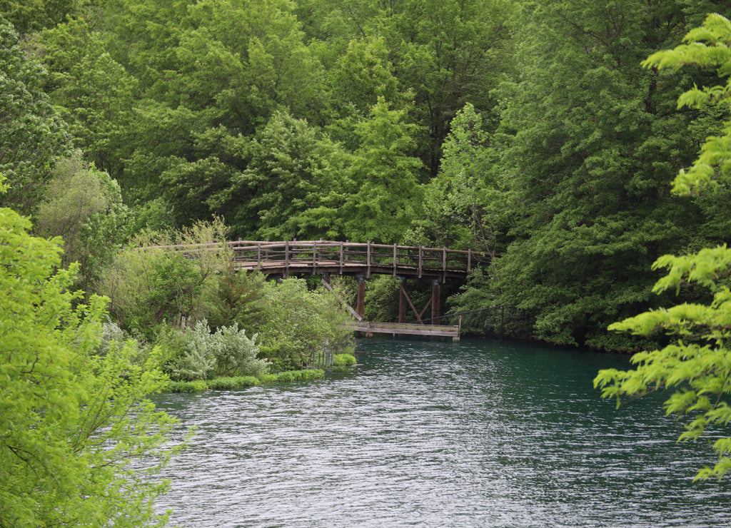 Beautiful view of a bridge over a lake surrounded by trees and greenery in Kansas, Missouri