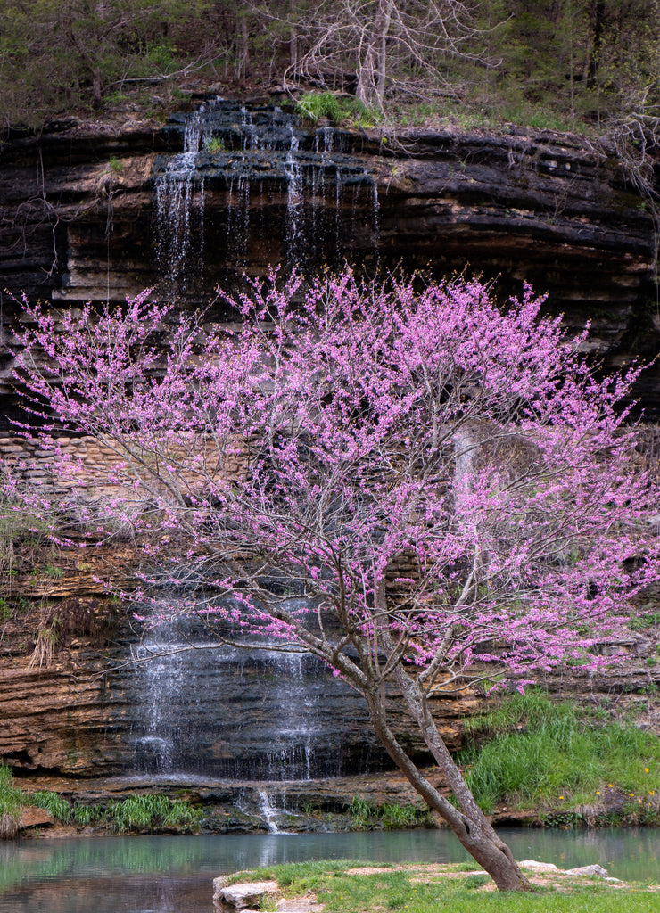 Waterfall in the Ozarks in Missouri