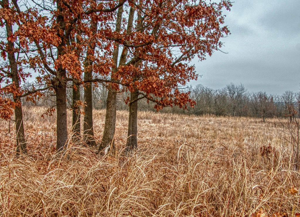 Wilson's Creek National Battlefield is a Civil War Site located in Southern Missouri