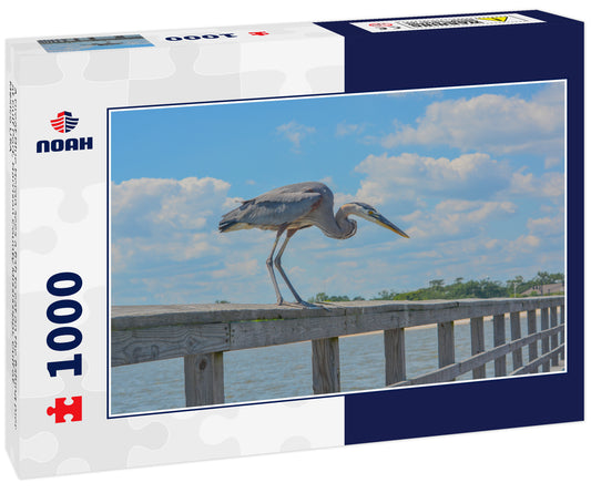 A Great Blue Heron sees a fish to eat on the fishing pier at Gulf Port, Harrison County Mississippi, Gulf of Mexico USA