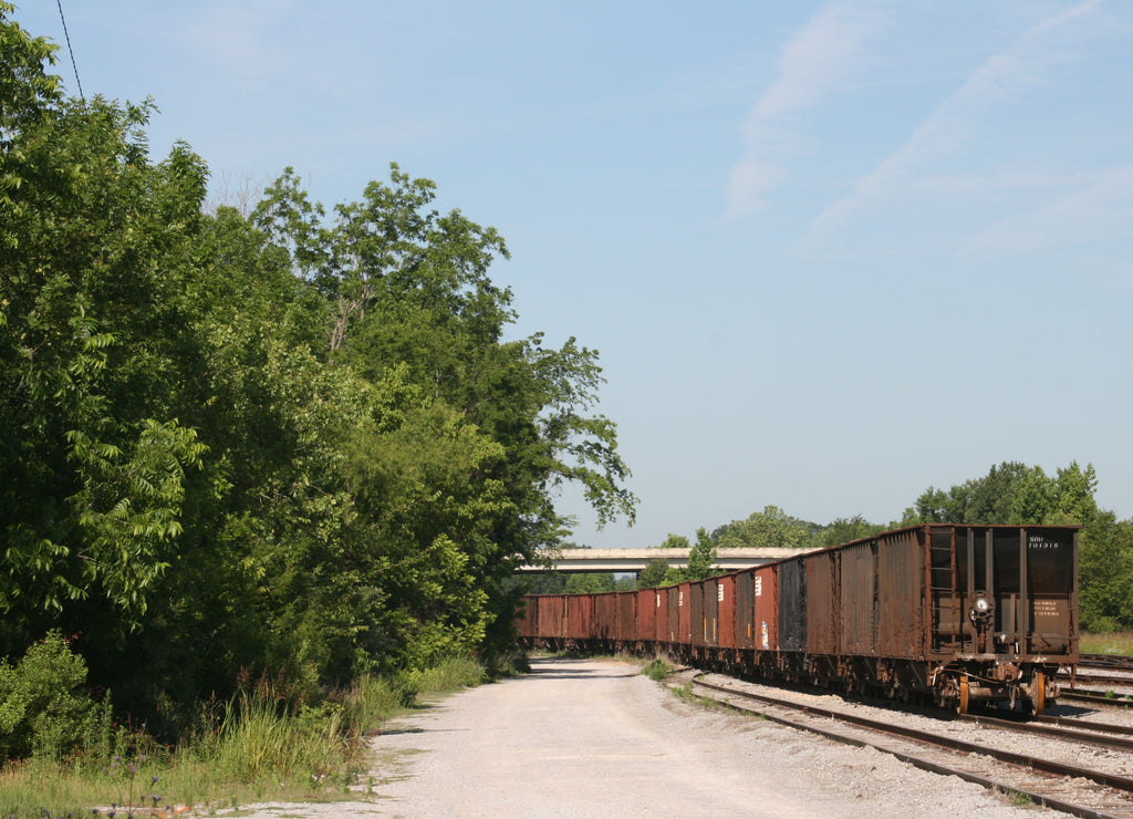 A cargo train parked somewhere in Mississippi