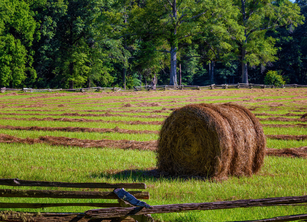 Harvest Grass Hay along the Natchez Trace Parkway in Mississippi