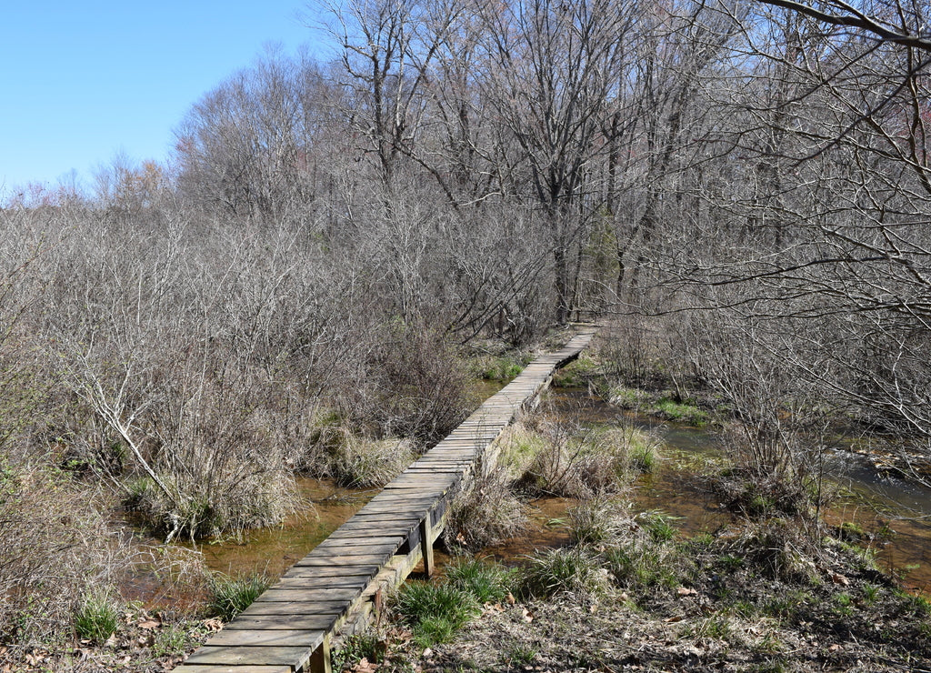 Footbridge across a stream in Wall Doxey State Park, Mississippi