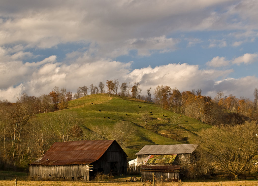 Farm Landscape near West Liberty Kentucky