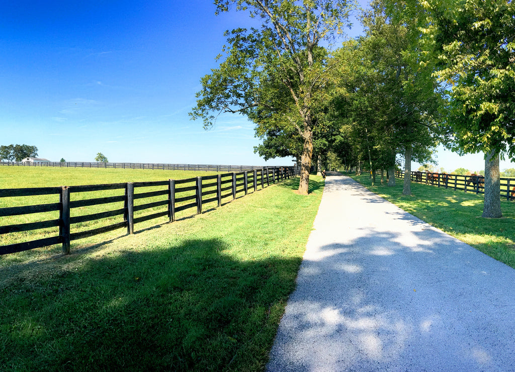 Horse farms just outside Lexington Kentucky, Known as the "Horse Capital of the World"