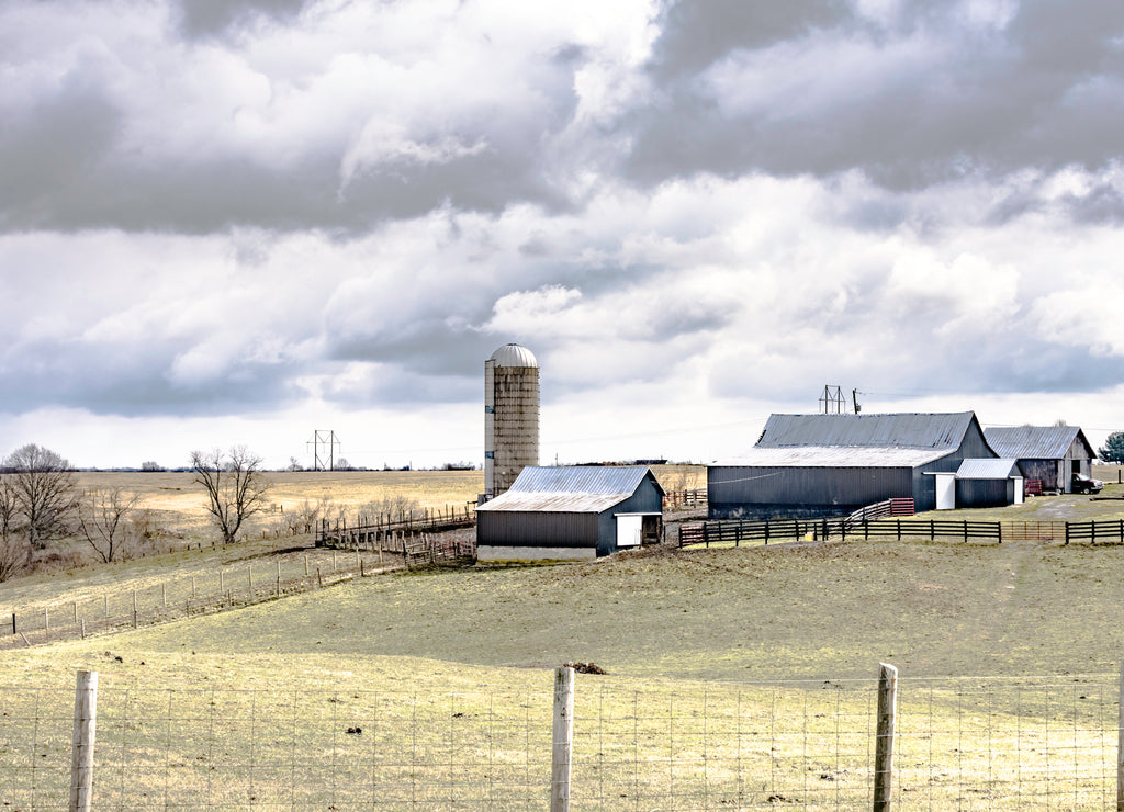 Dairy Farm in Fleming County Kentucky