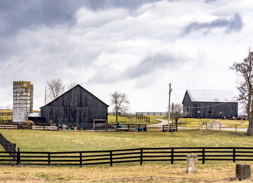 Farm in Fleming County, Kentucky