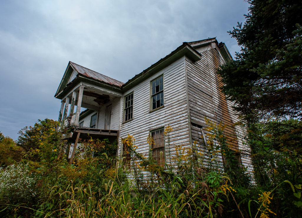 Abandoned House with Clapboard Siding and Porches - Tall Goldenrod Wildflowers - Lewis County, Kentucky