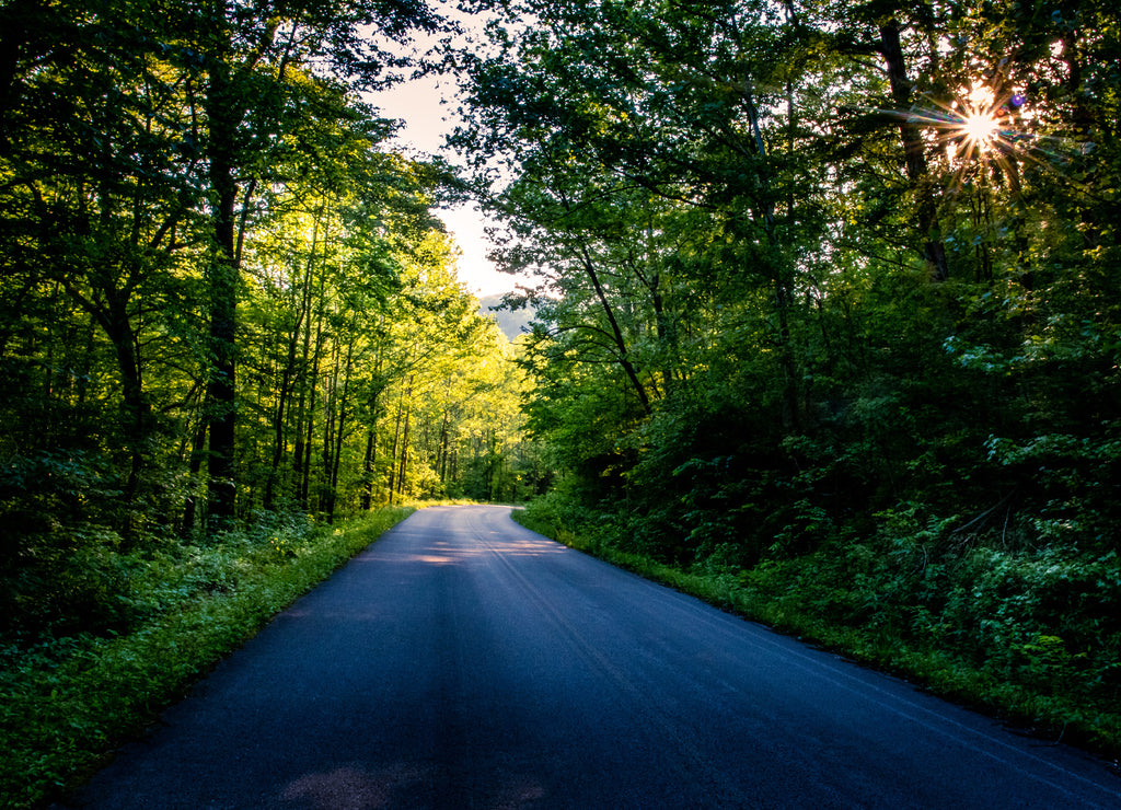 Back country road in a small town of Maysville, Kentucky