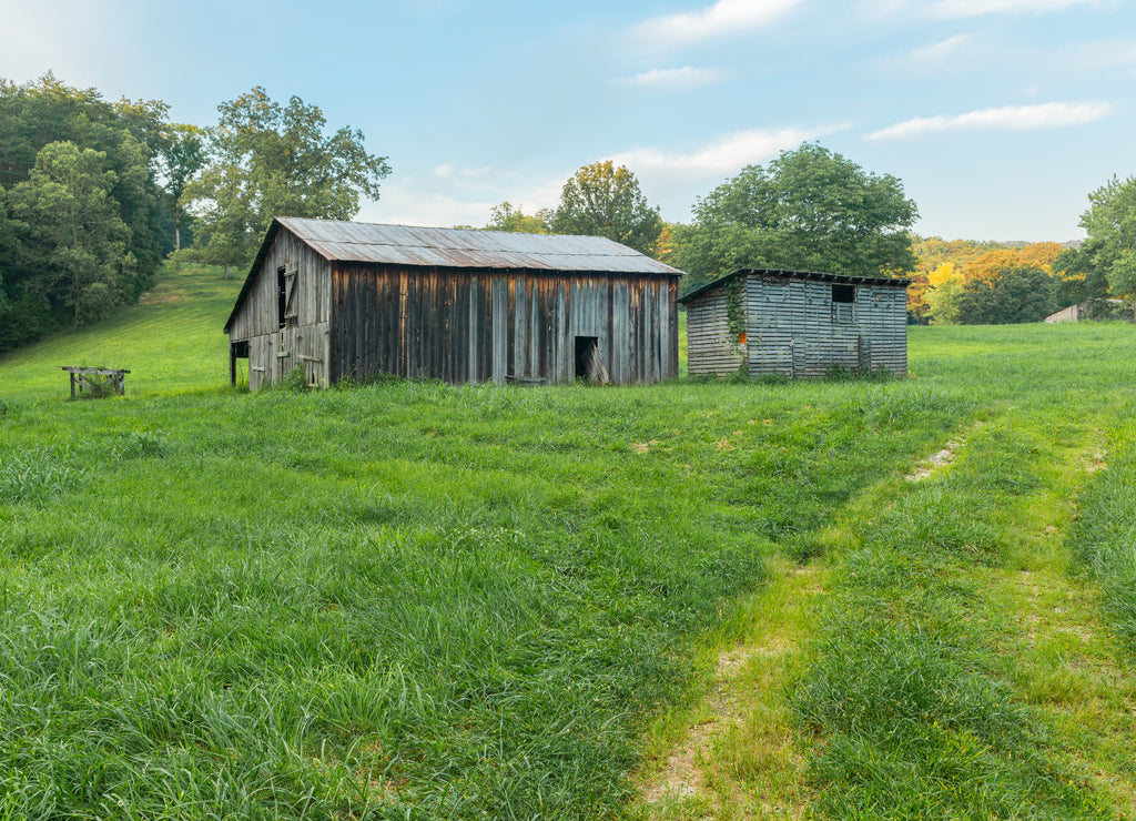 Barn and Corn Crib Powell County, Kentucky