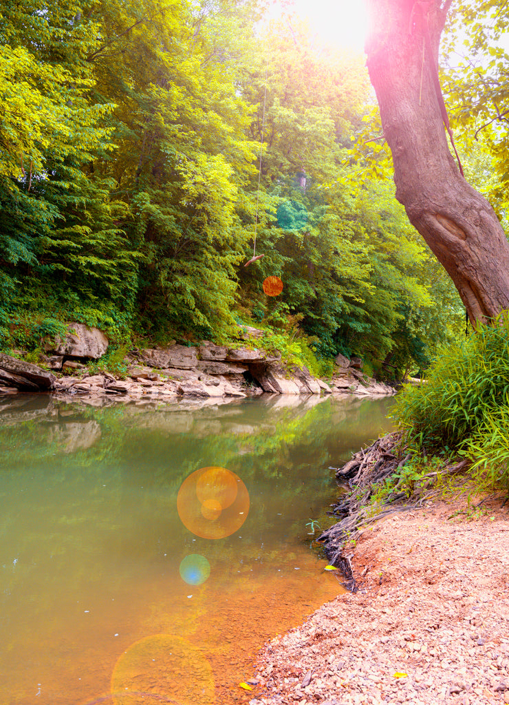 A Creek in the colorful seasonal forest with sun flares in Bowling Green, Kentucky USA