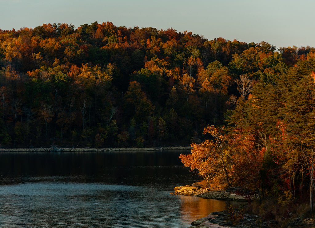 Barren River Lake + Fall / Autumn Color Trees - Daniel Boone National Forest - Kentucky