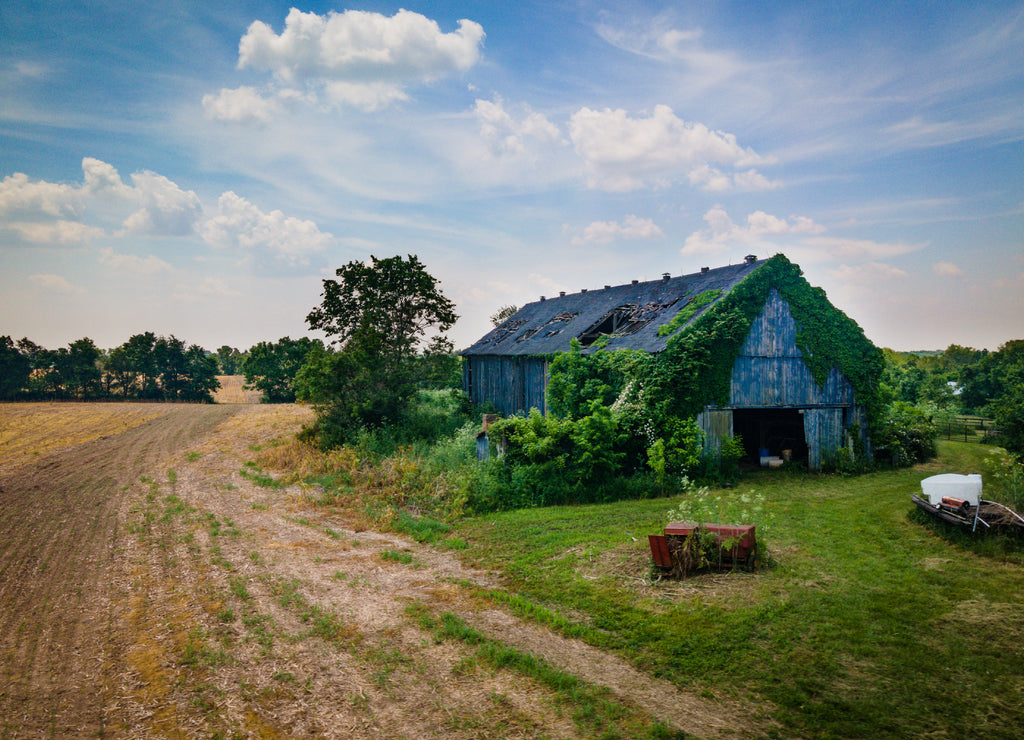 An abandoned barn painted in blue in a middle of agricultural field in rural Kentucky