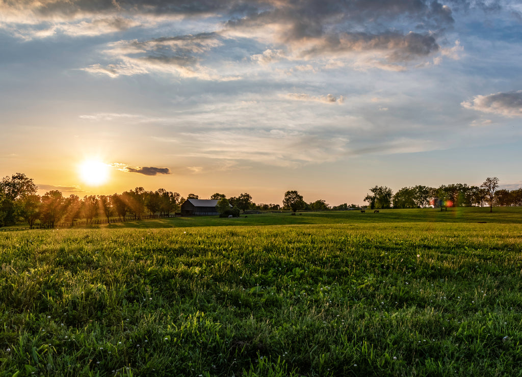 Kentucky horse farm landscape