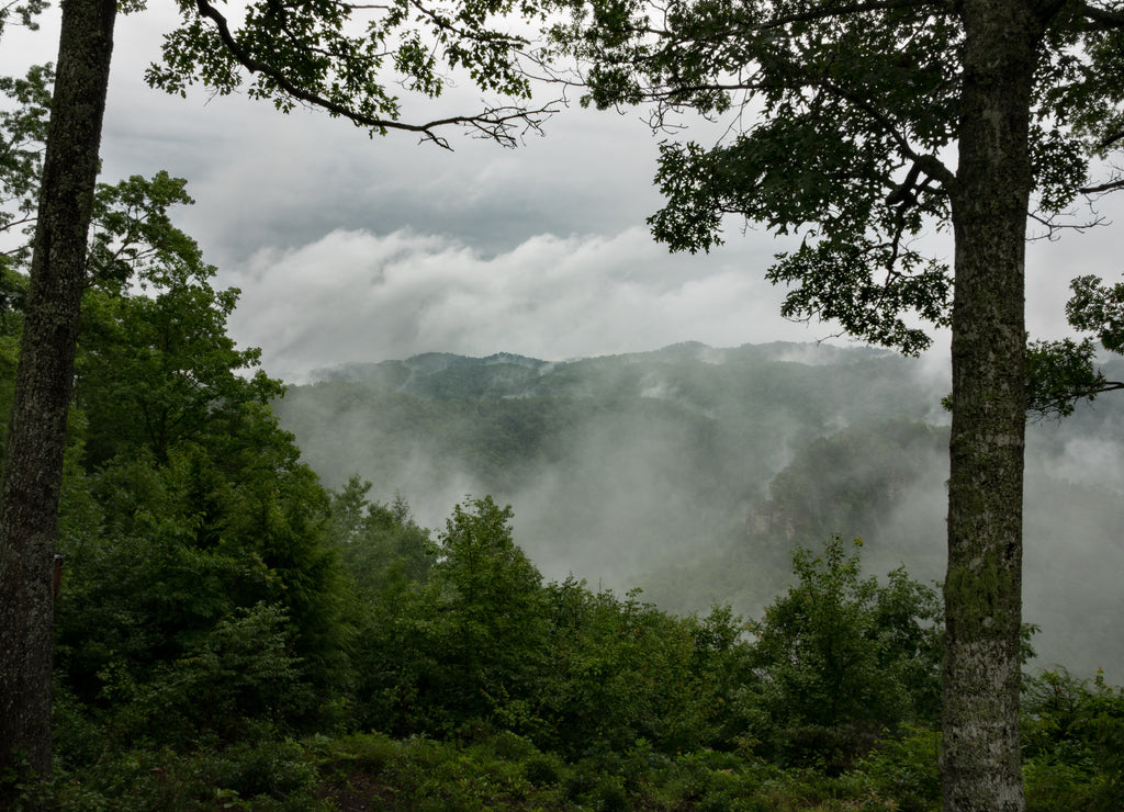 This image was captured at Breaks Interstate Park in Kentucky and Virginia, on a very stormy and foggy morning