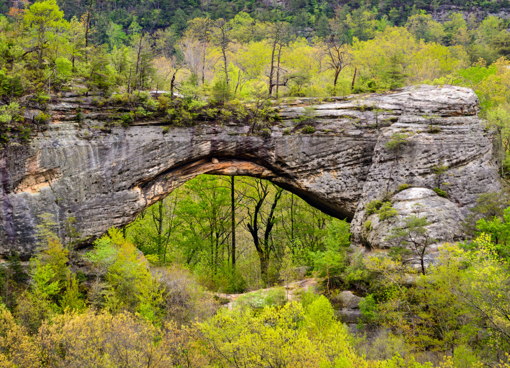 Big South Fork National River and Recreation Area, Kentucky