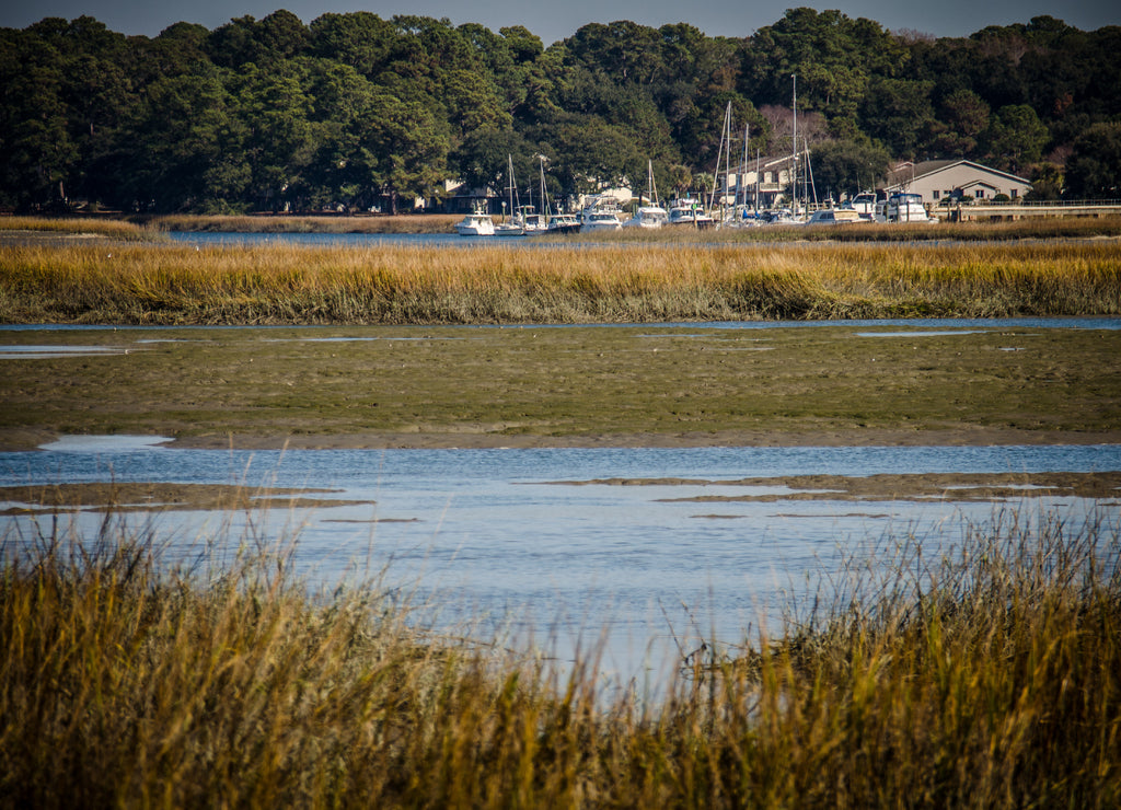 Wetlands and marsh area in Beaufort South Carolina, at low tide on a sunny day