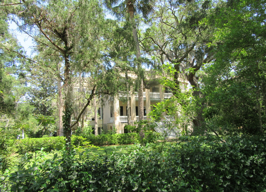 Historic houses in Beaufort South Carolina