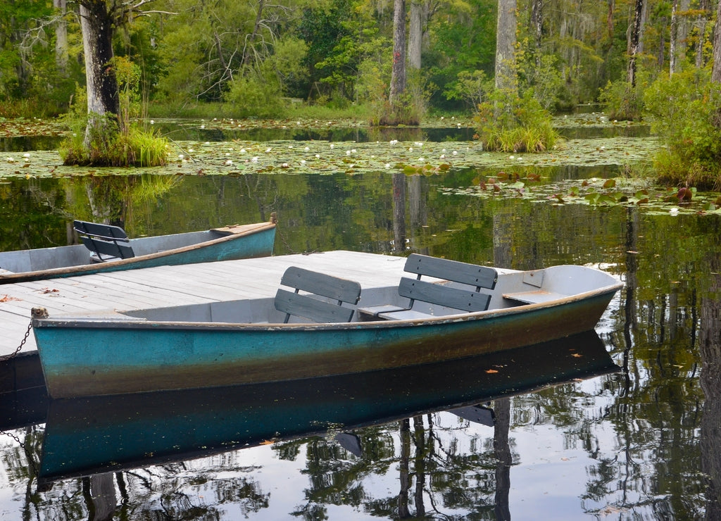 Cypress Gardens in Moncks Corner near Charleston in South Carolina, USA, turquoise row boats at the landing stage, summer, water lilies, reflections in water, movie location