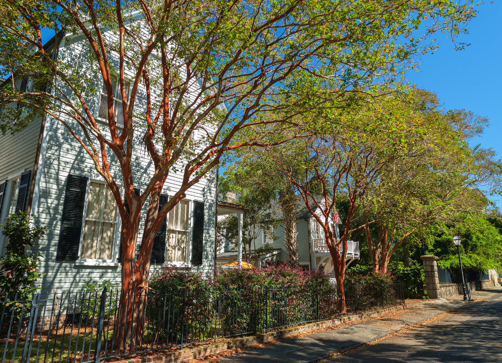 Southern homes in Charleston, South Carolina