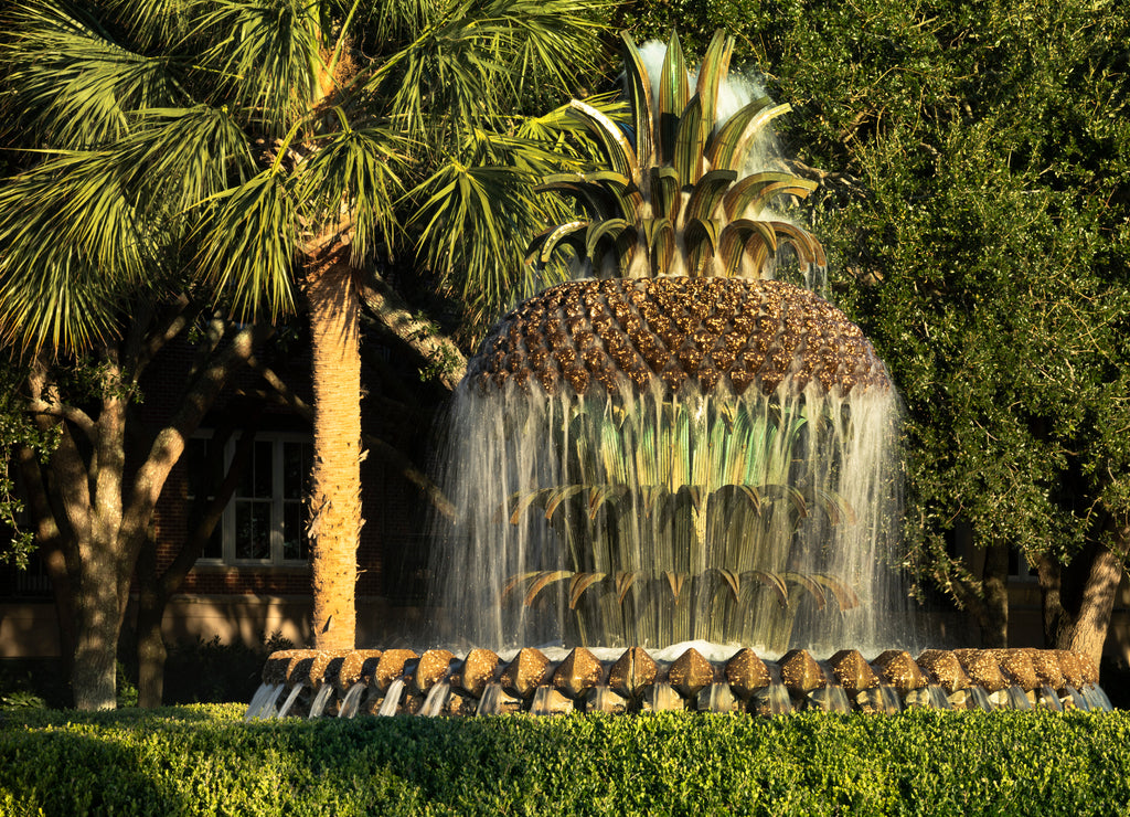Charleston South Carolina pineapple fountain