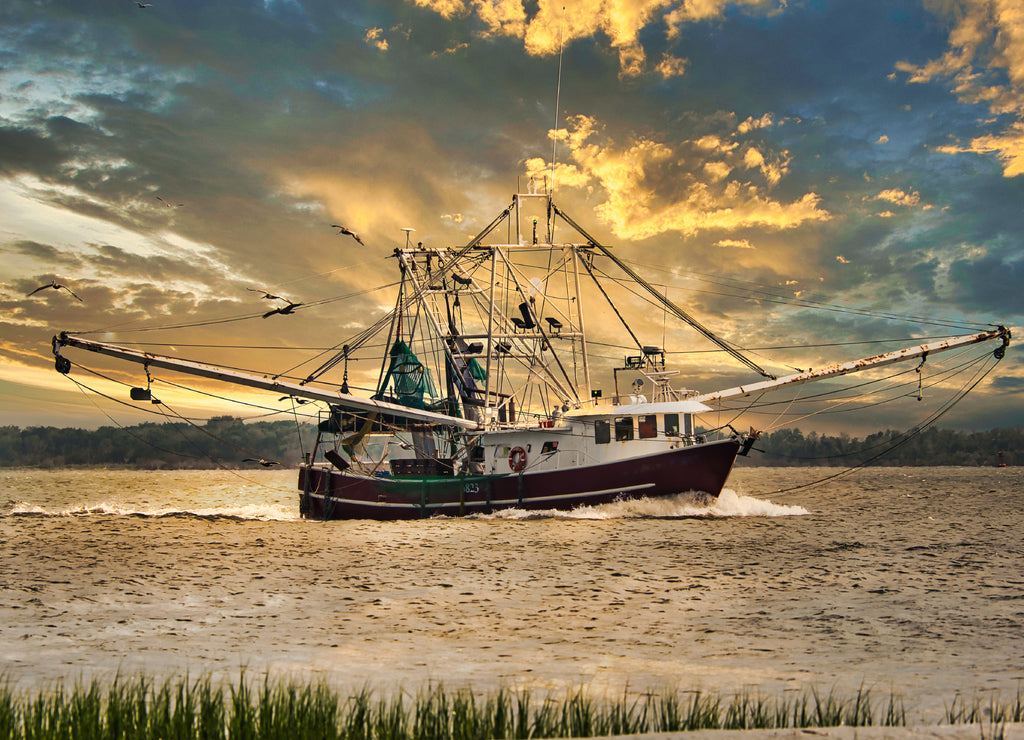 A shrimp boat entering Charleston, South Carolina harbor in the evening
