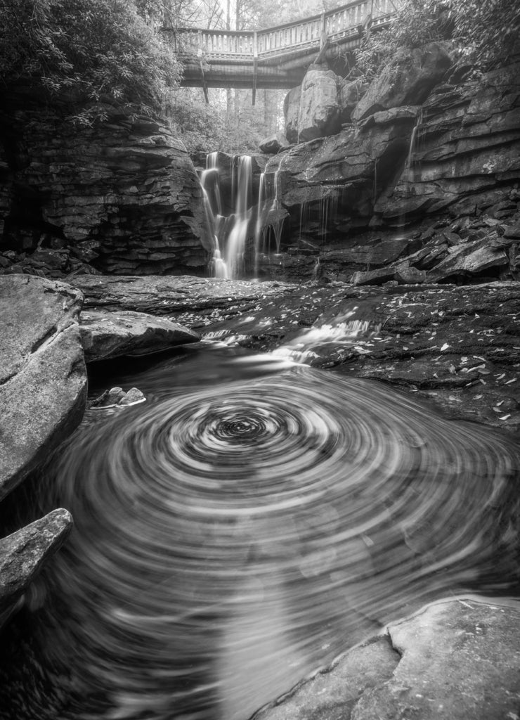 A beautiful swirl of Autumn leaves at Elakala Falls in Blackwater Falls State Park, West Virginia in black white