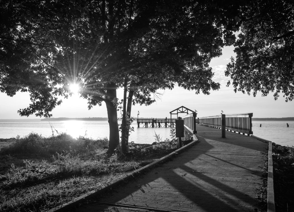 A Spring morning along the Potomac River at Leesylvania State Park in Woodbridge, Virginia in black white