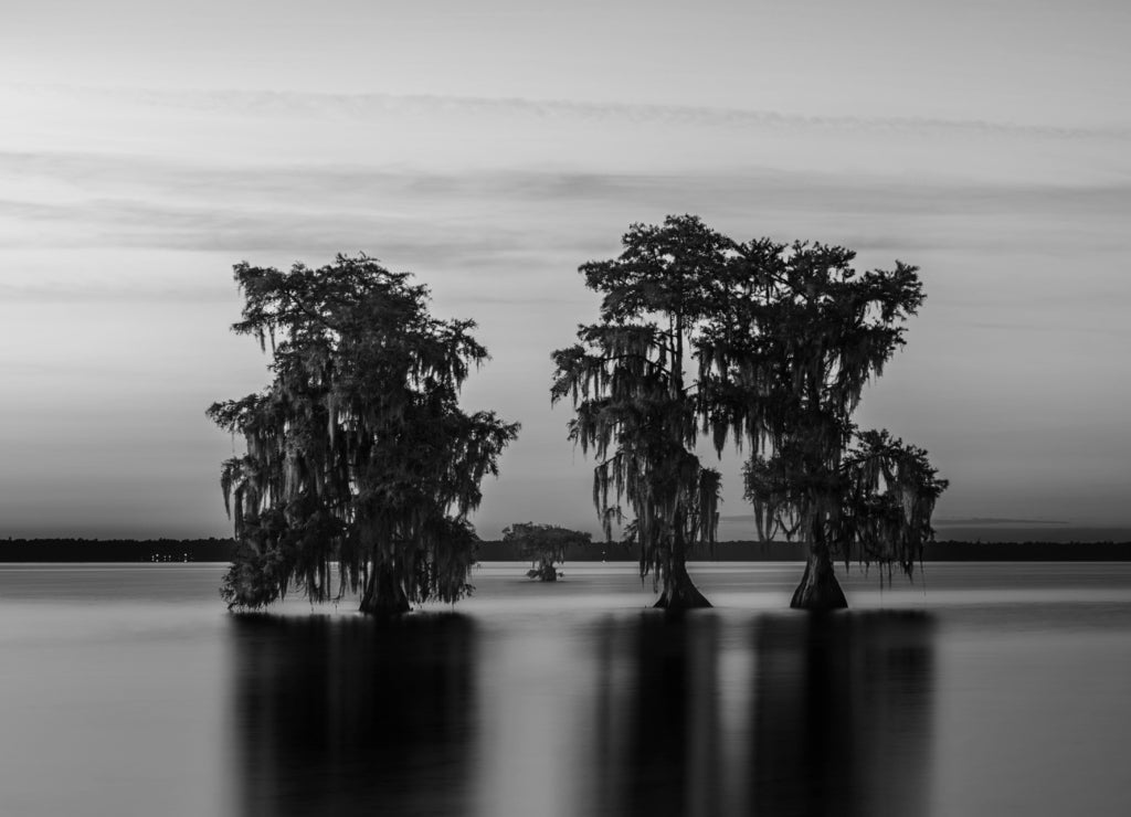 Lake Moultrie South Carolina in black white