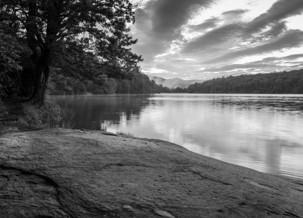 Julian Price Lake Shoreline North Carolina in black white