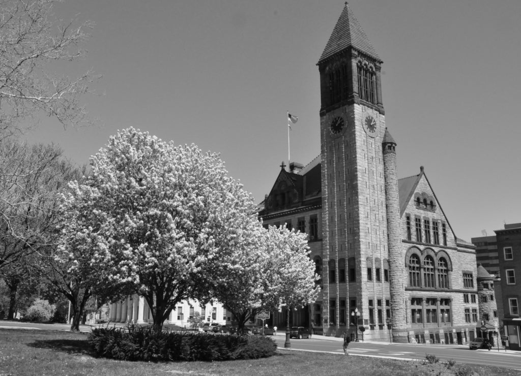 Albany City Hall in New York State in black white