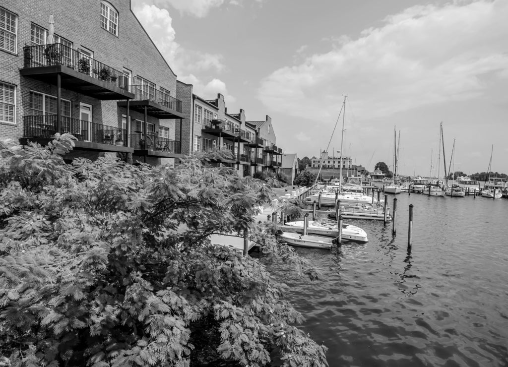 Waterfront scenes in washington North Carolina in black white